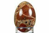 Polished Chert Breccia Egg - Western Australia #308786-1